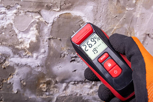 Best Residential Mold Removal  in Willows, CA