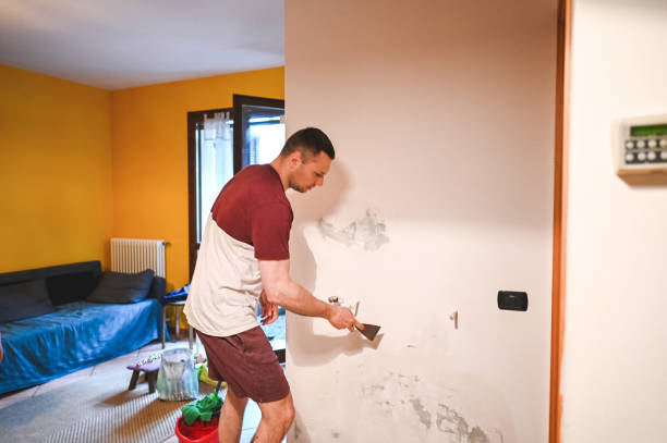 Best Best Mold Removal Companies  in Willows, CA